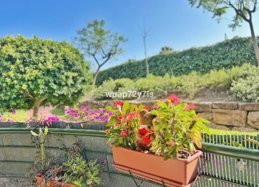 Resale - Ground floor apartment - Marbella - Guadalmina Alta