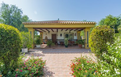 Resale - House - Detached Villa - Estepona - El Padron