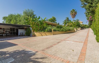 Resale - House - Detached Villa - Estepona - El Padron