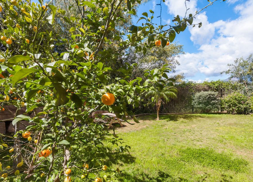 Reventa - Ground floor apartment - Benahavís - Benahavís Centro