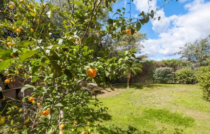 Reventa - Ground floor apartment - Benahavís - Benahavís Centro