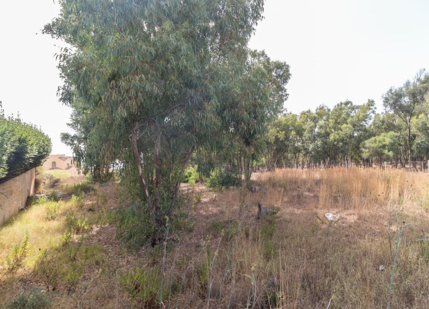 Reventa - Plot - Residential Plot - Manilva - Manilva Centro