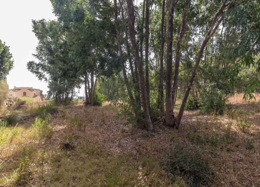 Reventa - Plot - Residential Plot - Manilva - Manilva Centro