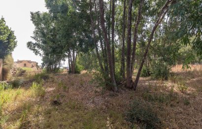 Reventa - Plot - Residential Plot - Manilva - Manilva Centro