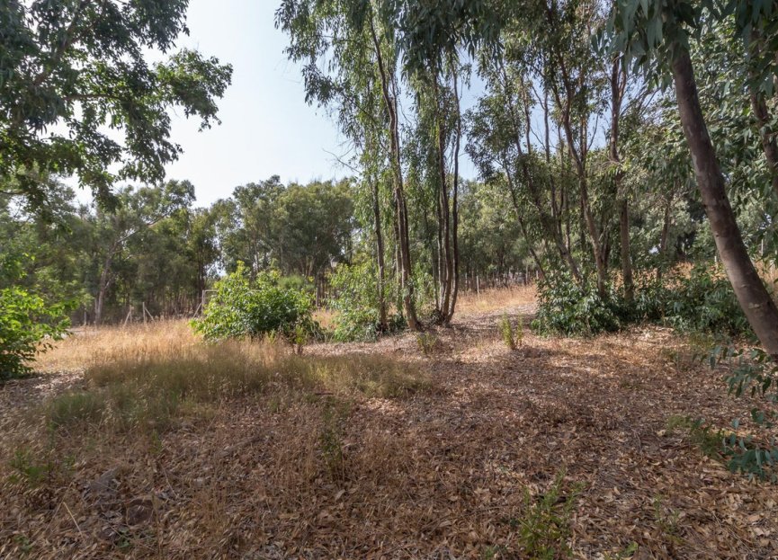 Reventa - Plot - Residential Plot - Manilva - Manilva Centro