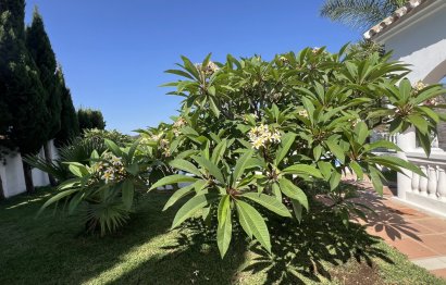 Resale - House - Finca - Cortijo - Estepona - Estepona Centro