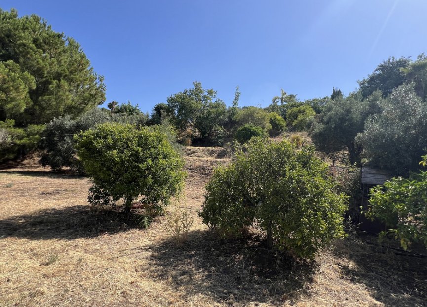 Resale - House - Finca - Cortijo - Estepona - Estepona Centro