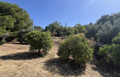 Resale - House - Finca - Cortijo - Estepona - Estepona Centro