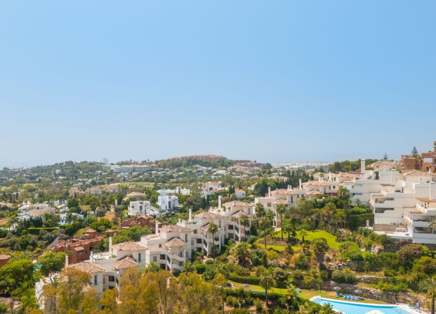 Resale - Ground floor apartment - Marbella - Nueva Andalucia