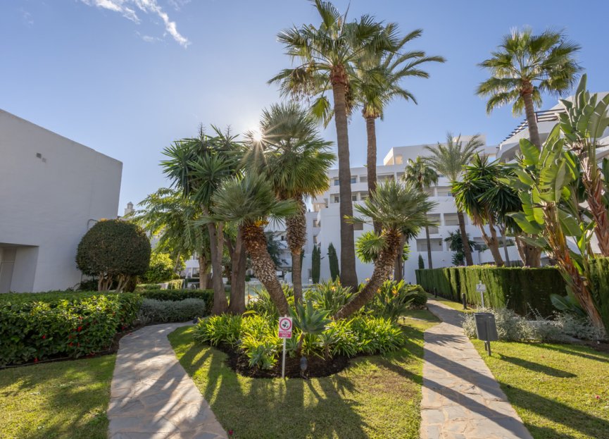 Resale - Apartment - Middle Floor Apartment - Marbella - Nueva Andalucia