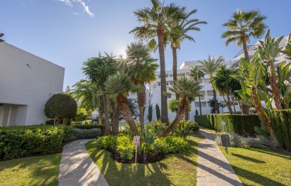 Resale - Apartment - Middle Floor Apartment - Marbella - Nueva Andalucia