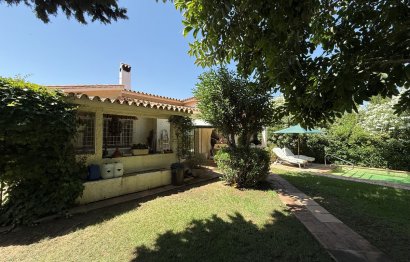 Resale - House - Detached Villa - Marbella - San Pedro De Alcantara