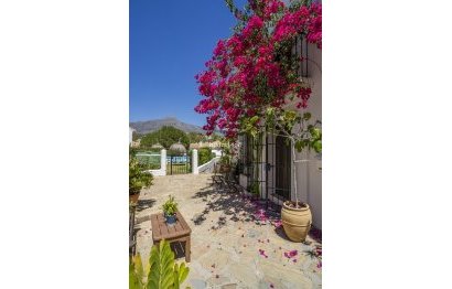 Resale - House - Townhouse - Marbella - Nueva Andalucia