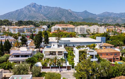 Resale - House - Detached Villa - Marbella - Marbella Centro