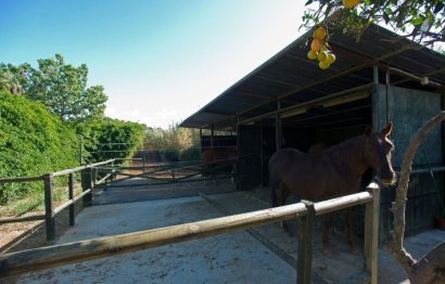 Resale - House - Finca - Cortijo - Estepona - Estepona Centro