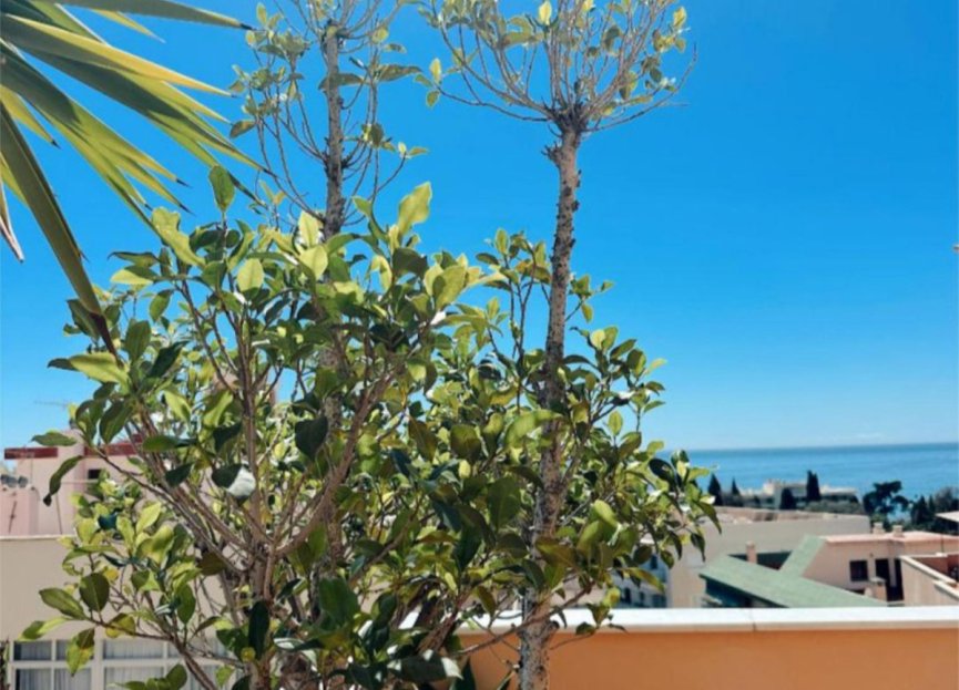 Resale - Apartment - Penthouse - Marbella - Marbella Centro