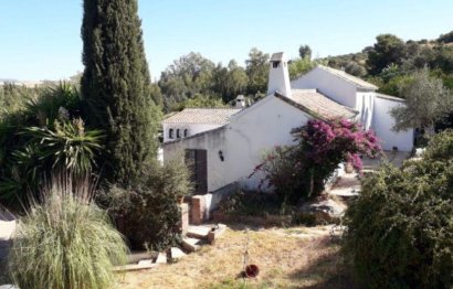 Resale - House - Finca - Cortijo - Mijas - Mijas Centro