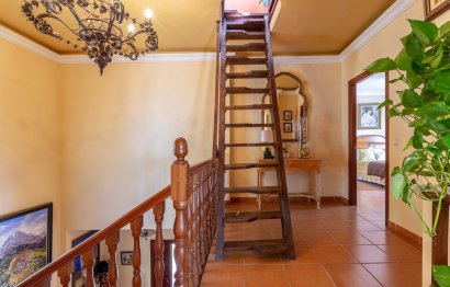 Resale - House - Detached Villa - Marbella - Marbella Centro