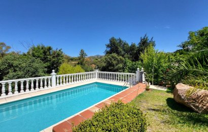 Resale - House - Detached Villa - Marbella - Elviria