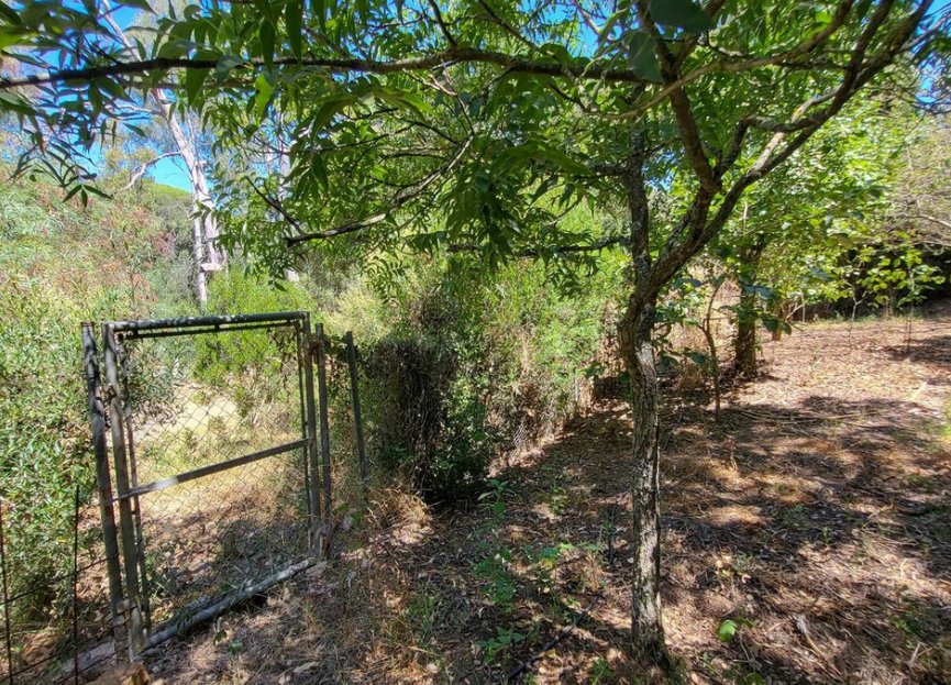 Resale - House - Detached Villa - Marbella - Elviria