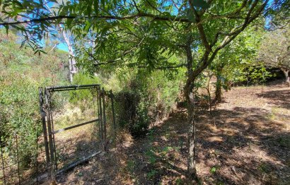 Resale - House - Detached Villa - Marbella - Elviria