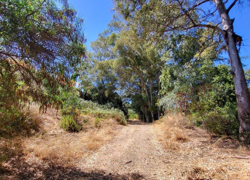 Resale - House - Detached Villa - Marbella - Elviria