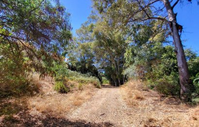 Resale - House - Detached Villa - Marbella - Elviria