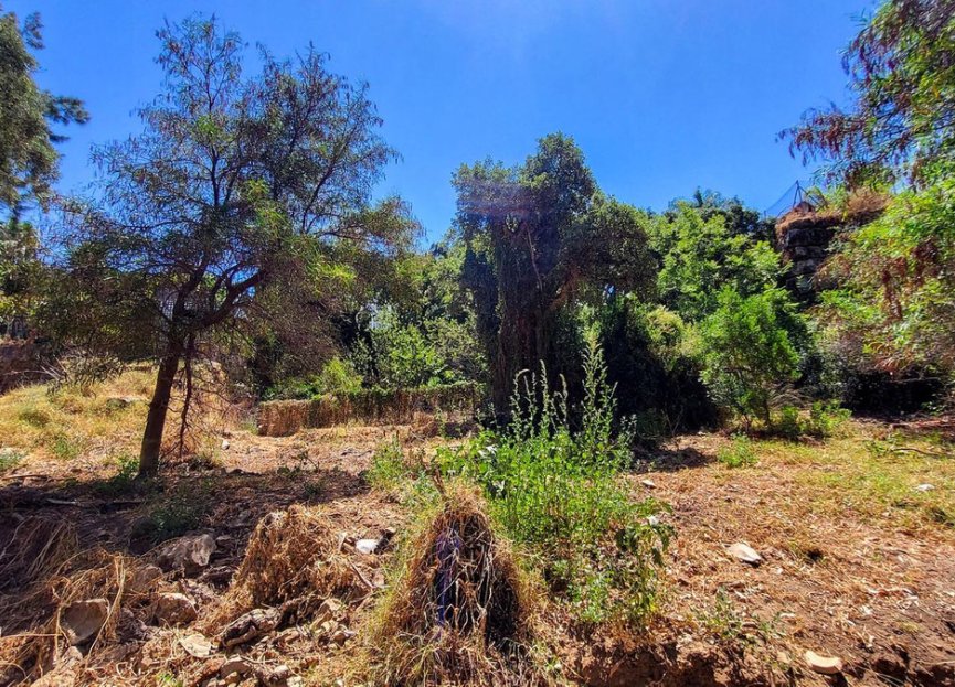 Resale - House - Detached Villa - Marbella - Elviria