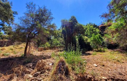 Resale - House - Detached Villa - Marbella - Elviria