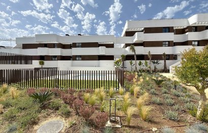 Resale - Ground floor apartment - Estepona - Estepona Centro