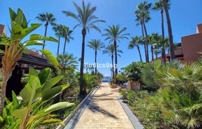 Resale - Apartment - Ground Floor Apartment - Estepona - Estepona Centro