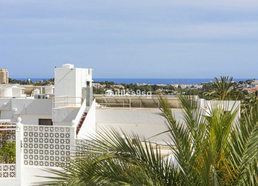 Resale - Apartment - Middle Floor Apartment - Marbella - Nueva Andalucia