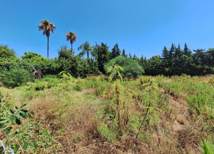 Resale - Plot - Residential Plot - Estepona - Atalaya