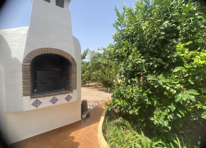 Resale - House - Detached Villa - Marbella - Elviria
