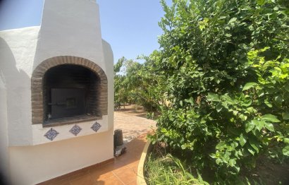 Resale - House - Detached Villa - Marbella - Elviria