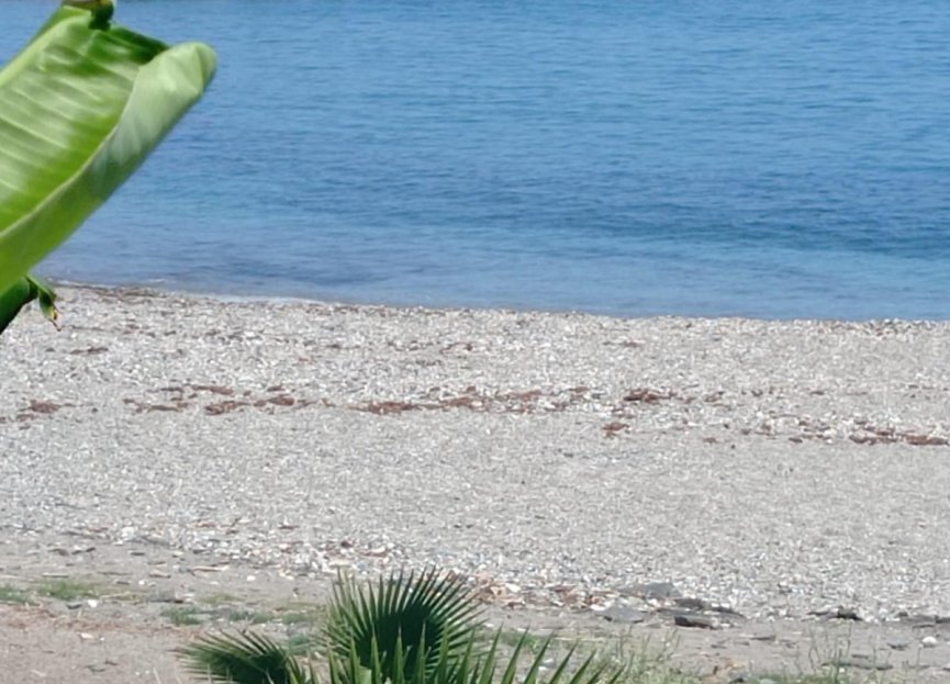 Resale - Ground floor apartment - Benalmádena - Benalmadena Costa