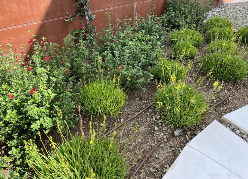 Reventa - House - Detached Villa - Fuengirola - Fuengirola Centro