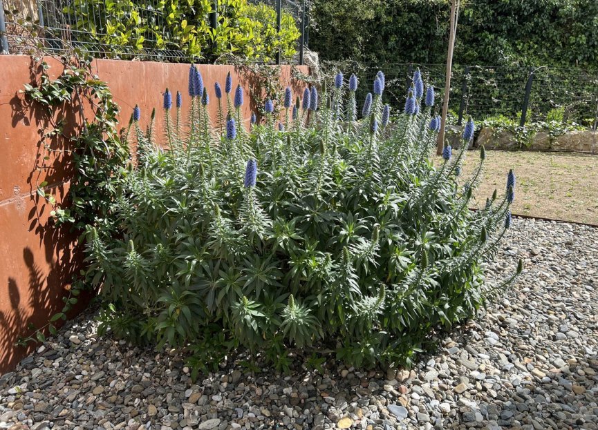 Reventa - House - Detached Villa - Fuengirola - Fuengirola Centro