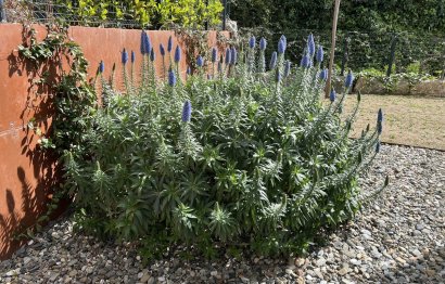 Reventa - House - Detached Villa - Fuengirola - Fuengirola Centro