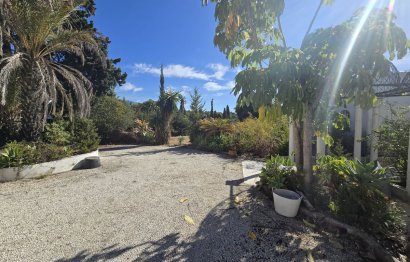 Resale - House - Detached Villa - Marbella - Marbella Centro