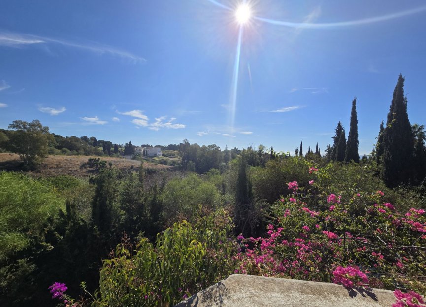 Resale - House - Detached Villa - Marbella - Marbella Centro