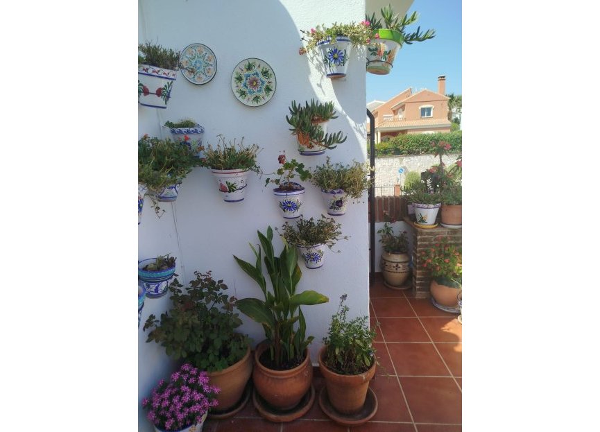 Reventa - Apartment - Penthouse - Mijas - Riviera Del Sol