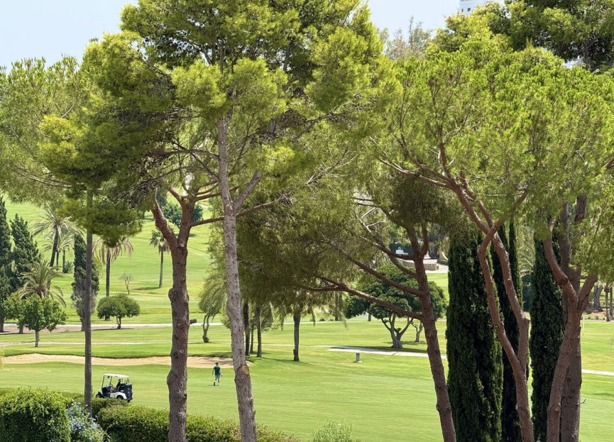 Resale - Apartment - Middle Floor Apartment - Benahavís - Benahavís Centro