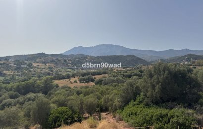 Resale - House - Detached Villa - Estepona - Estepona Centro