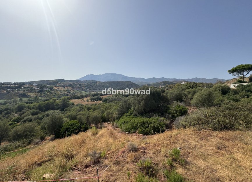 Resale - House - Detached Villa - Estepona - Estepona Centro