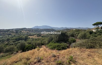 Resale - House - Detached Villa - Estepona - Estepona Centro