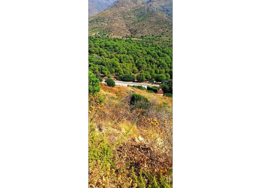 Reventa - Plot - Land - Estepona - Estepona Centro