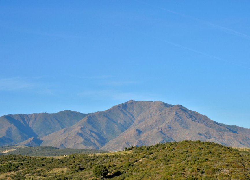 Reventa - Apartment - Top Floor Apartment - Estepona - Estepona Centro