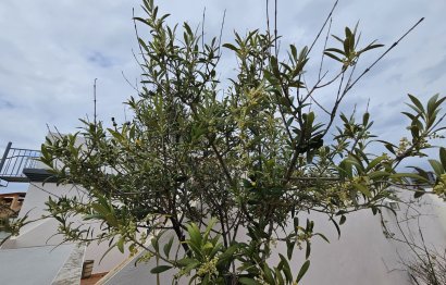 Reventa - Apartment - Top Floor Apartment - Estepona - Estepona Centro