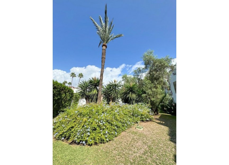 Reventa - Apartment - Middle Floor Apartment - Estepona - Costalita